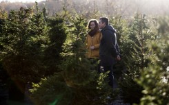 Customers choose a tree at London Christmas Tree Rental in Dulwich, London