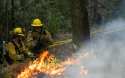 Firefighters with California State Parks monitor a prescribed burn at Wilder Ranch State Park near Santa Cruz, California, in October 2023. 