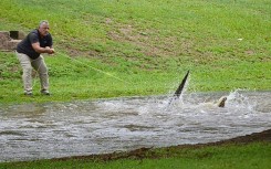 Flash floods have swamped northeastern Australia, with raging waters severing roads and flushing crocodiles into towns