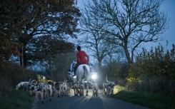 Trail hunting, where hounds follow a scent, has been banned in Scotland and England and Wales may follow