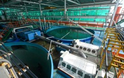 Fish tanks at Singapore's Eco Ark simulate ocean conditions that allow fish to swim against a current while shielding them from diseases