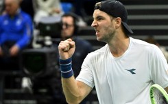 Jan-Lennard Struff helped Germany advance to the Davis Cup finals with victory over Hungary