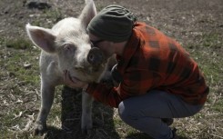 One man and his rescue pig in Uruguay