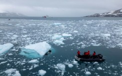 Scientists have warned that rising ocean temperatures are impacting whales' body clock and migration cycles, as well as killing off krill, the tiny crustacians they need to fatten up for a journey of thousands of kilometers