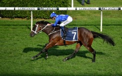 The only foal of champion Australian mare Winx sold for $6.6 million