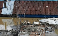 A cat is seen on the roof of a building in the flooded Russian city of Orenburg 