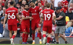 Liverpool celebrate Cody Gakpo's goal against Tottenham