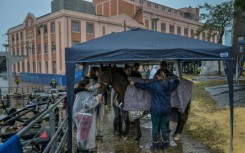 Volunteers take care of a horse at an animal shelter in the historic center in Porto Alegre, Brazil, on May 11, 2024