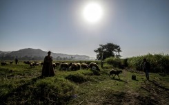 'On The Brink of Dreams' follows teenage girls in a rural part of Egypt