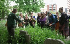 Hunting for edible plants with London's urban foragers