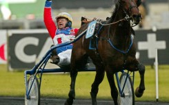 (FILES) Italian jockey Giampaulo Minucci celebrates his victory as he drives trotter 'Varenne' during the Prix D'Amerique legend race at Vincennes racetrack, outside Paris, on January 27, 2002