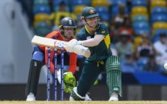 Australia's David Warner in action at the World Cup