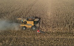 A farmer harvests his corn fields in Lobos, Buenos Aires province, Argentina