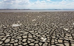 Aerial view showing dead fish due to drought in the Bustillos Lagoon, near Anahuac, Chihuahua State, Mexico, taken on June 5, 2024