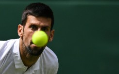 Senior service: Novak Djokovic in action during last year's final against Carlos Alcaraz 