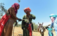 'Most families come to fetch water while we're working, and sometimes we can't do both,' said Djaouher Kammoun, a 26-year-old farmer