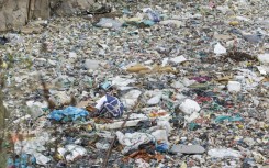 Volunteers have been combing through the rubbish dump in the hunt for bodies 