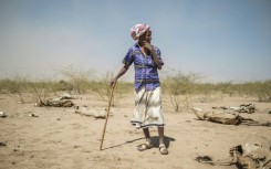 A man stands among animal carcasses in the village of Antalale in Ethiopia in January 2023. According to a UN report, hunger affected one in every five people in Africa last year