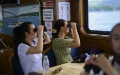 Thar she blows: Istanbulites spotting dolphins on the free cruise designed to raise awareness of the city's resident dolphins