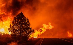 Fueled by a crushing heatwave, the so-called Park Fire -- the most intense wildfire to hit the state this summer -- has rapidly devoured nearly 240,000 acres (97,000 hectares)