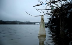 A plastic bag is seen washed up on the banks of the Anacostia River in March 2019 in Washington