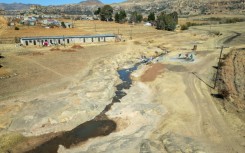 Crops and livestock have been felled by the lack of water
