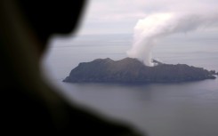 Volcanic ash from an eruption at the White Island volcano grounded some flights in New Zealand on Thursday