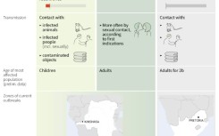 The different types of mpox 