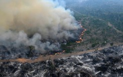 Aerial view of an area of Amazon rainforest deforested by illegal fire in the municipality of Labrea, Amazonas State, Brazil, taken on August 20, 2024