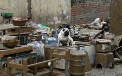 Residents returned to their mud-caked homes to start the cleanup after the floods