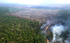 The delay has sparked an outcry from environmentalists, who saw the law as a major breakthrough in the fight to protect nature and the climate