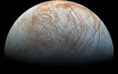 Does Europa contain the ingredients that would allow life to be present?