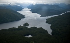 Around Great Bear Sea, overfishing, pollution and warming waters caused by climate change have altered the area substantially