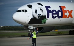 The pandas arrived at Dulles airport near Washington on a FedEx cargo jet dubbed the 'Panda Express'