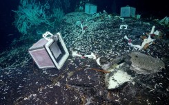 Photographie non datée fournie par le Schmidt Ocean Institute montrant des expériences sur le fond marin à 2.500 mètres de profondeur, au site de l'évent Tica, sur la dorsale est-Pacifique