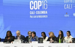 The COP16 biodiversity conference opened in Cali with Colombia's Environment Minister Susana Muhamad (C) taking over the presidency 