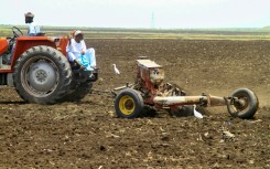 Sudanese farmers plough a field in Gedaref -- the state's agriculture ministry says less than half the pre-war acreage was planted in 2024