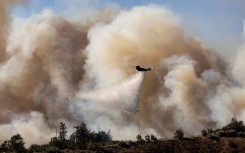 The Mountain Fire grew to burn over 20,000 acres (8,100 hectares) in the first two days, with towering flames leaping unpredictably and sending residents scrambling