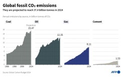 Albania's Prime Minister Edi Rama ditched his prepared remarks to complain that 'our speeches full of good words about climate change, change nothing'