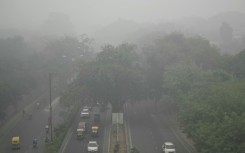 India's Supreme Court last month ruled that clean air was a fundamental human right, ordering both the central government and state-level authorities to take action