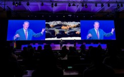 Former US vice president Al Gore said 'petrostates have too much control over' UN climate talks