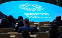 Delegates listen to speeches at COP29 in Baku