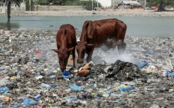 In 2019, the world produced around 460 million tonnes of plastic, a figure that has doubled since 2000, according to the OECD