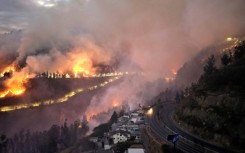 The study was released a week after Ecuador declared a national emergency due to forest fires