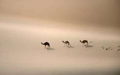 Saudi Arabia is home to one of the world's biggest deserts