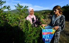 The women rely on the wild herbs for their livelihoods