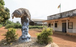 Manetee is off the menu and a statue of the aquatic mammal now adorns a roudabout in the town of Dizangue