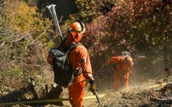 More than 900 inmates are working alongside firefighters in the battle to tame wildfires in Los Angeles